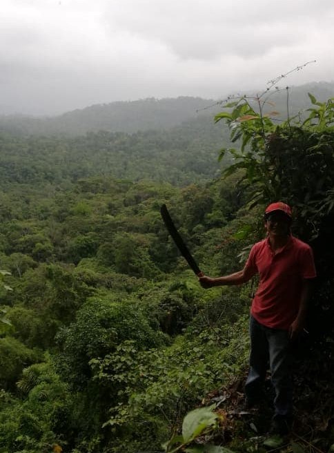 Quiero crear una ecoaldea tengo terreno en el Puyo
