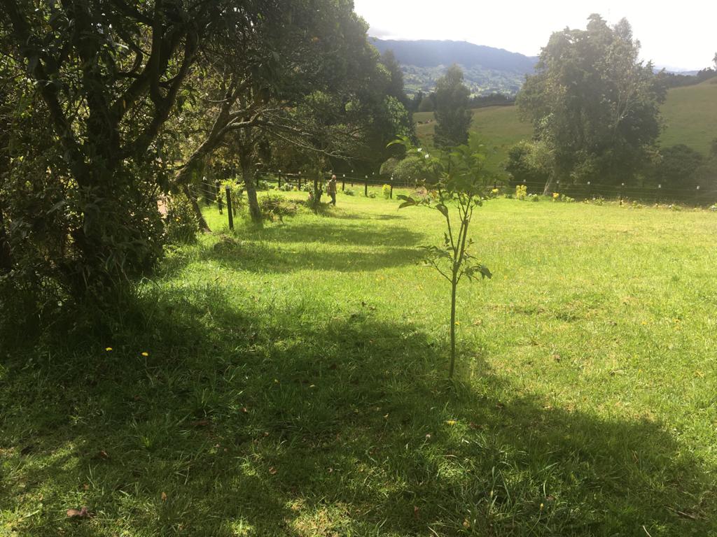 Sembrando Ecoaldea en Tabio