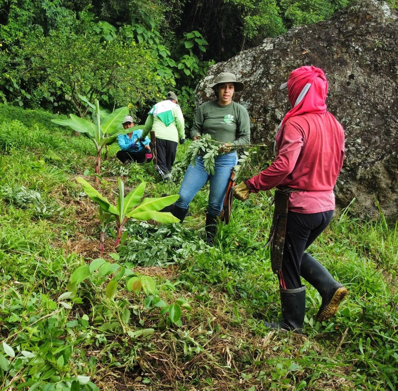  Soy Lluly y quisiera ser parte de una ecoaldea