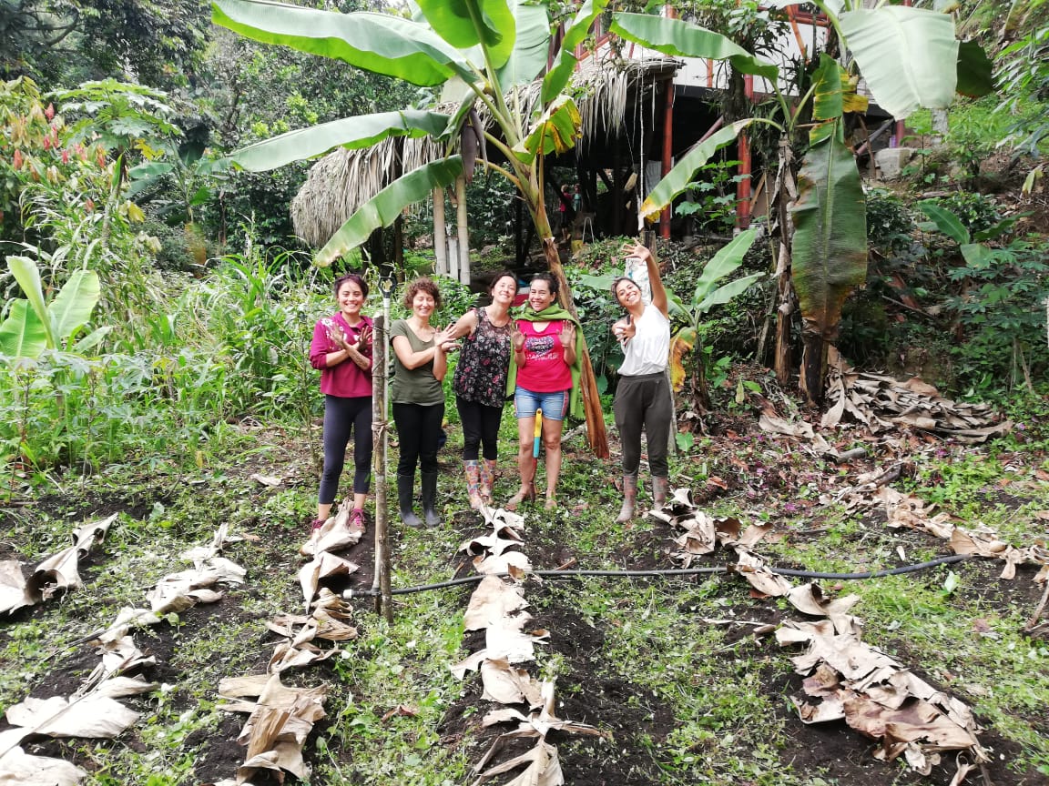 Vendo participación en comunidad en Silvania