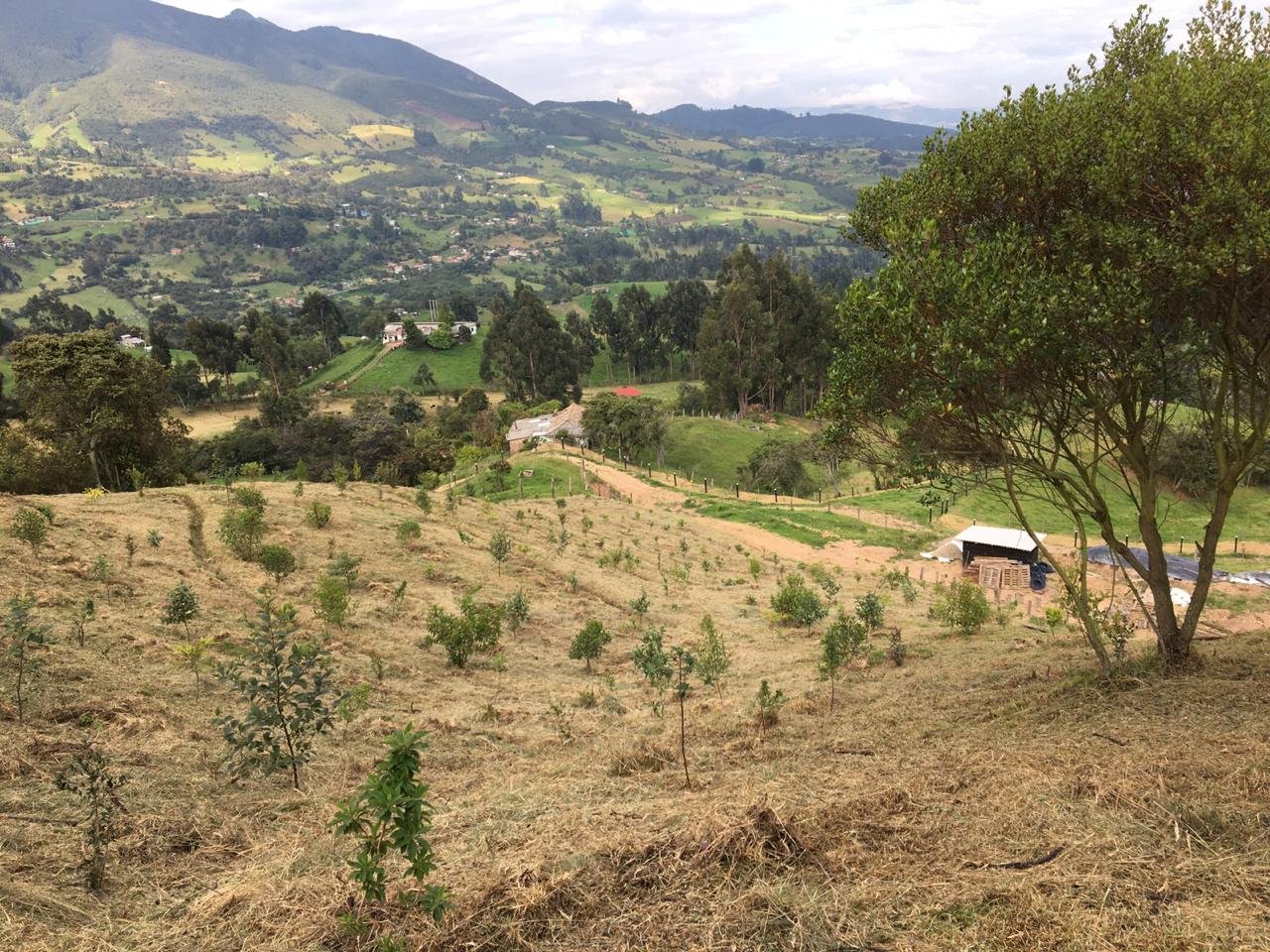 Ofrezco terreno a hora y media de Bogotá