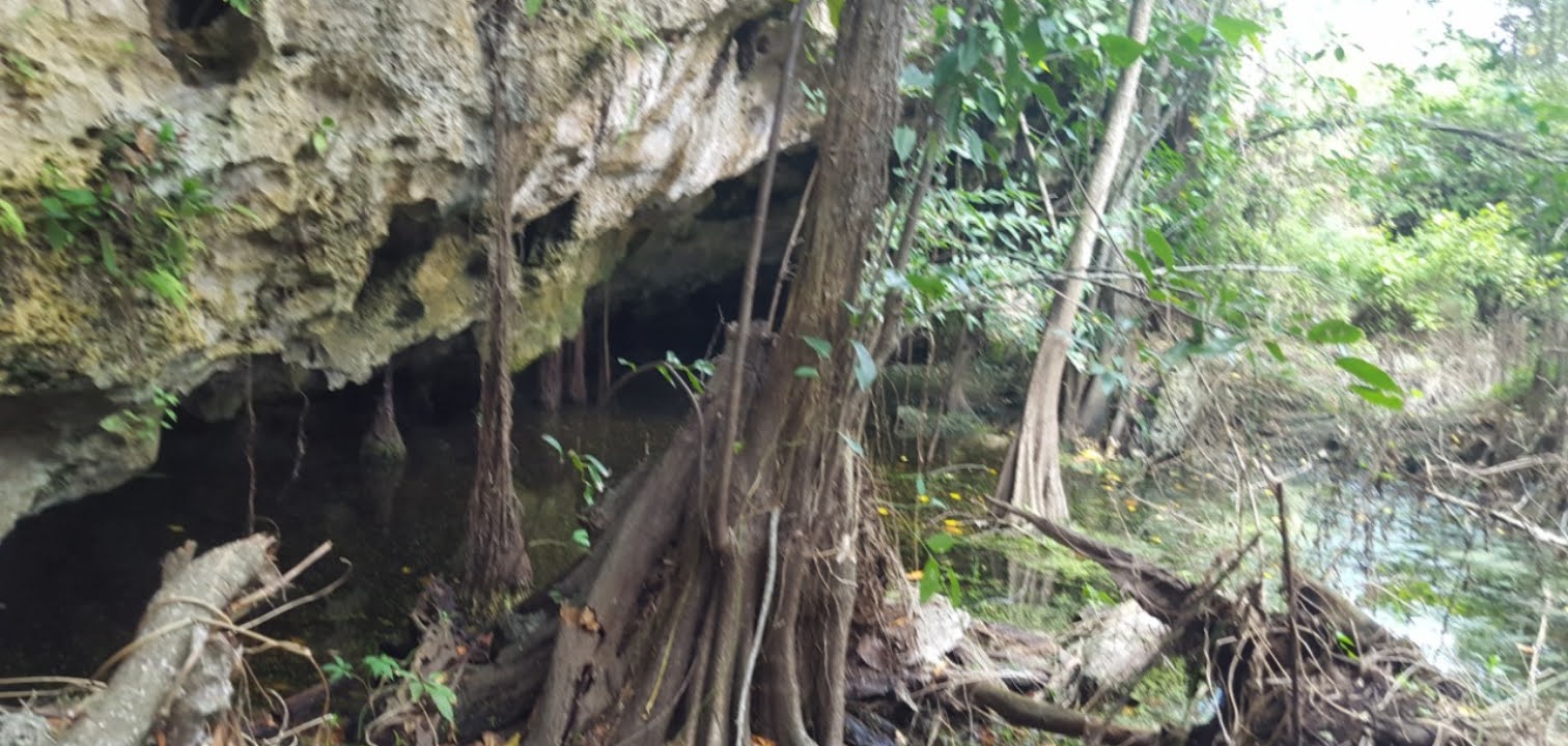 Ecoaldea holística Cancun