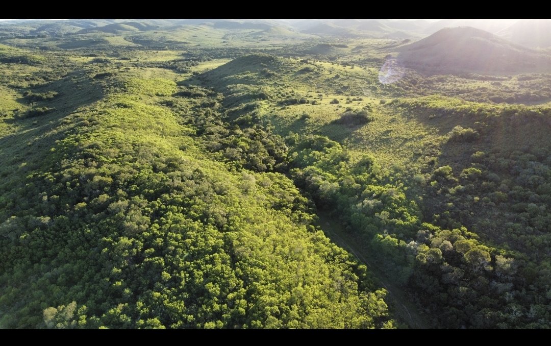 ¿Quieres vivir en una ecoaldea en Uruguay?