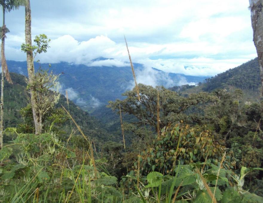 aldea  ecologica amazonica autosustentable