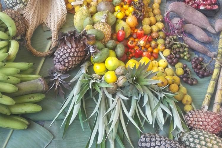 Co-crear en la selva del Amazonas Colombiano.