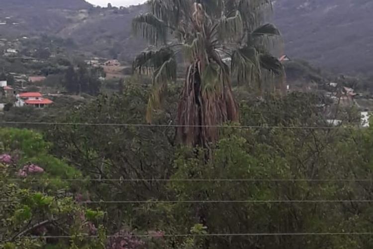Territorio