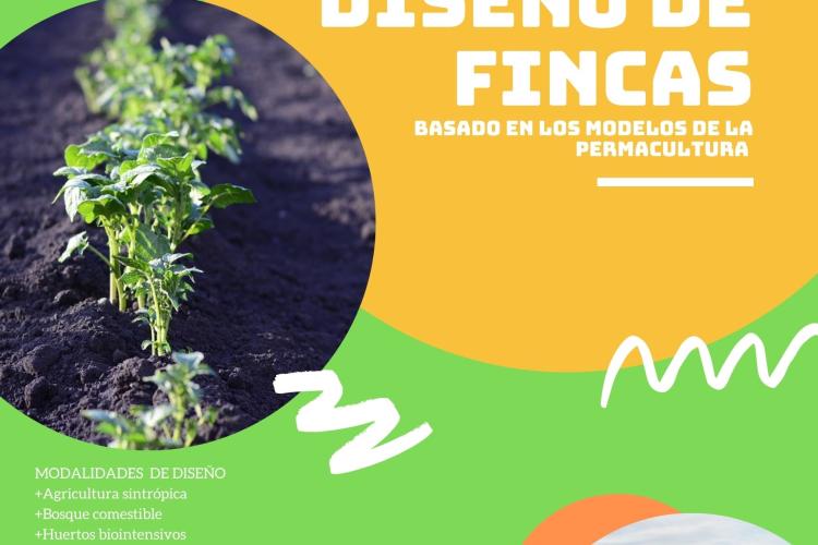 Diseño de fincas