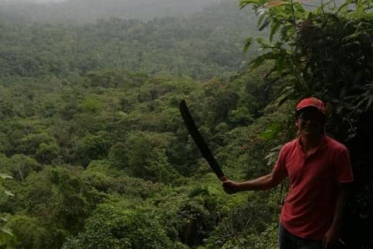 Quiero crear una ecoaldea tengo terreno en el Puyo
