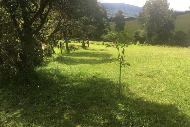 Sembrando Ecoaldea en Tabio