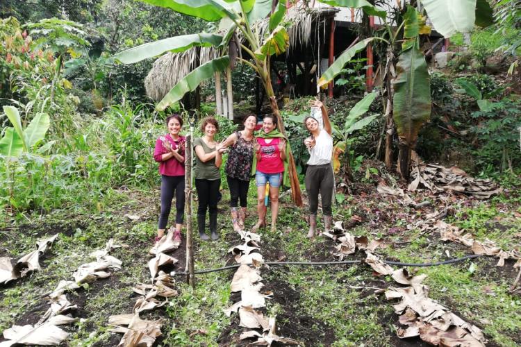 Vendo participación en comunidad en Silvania