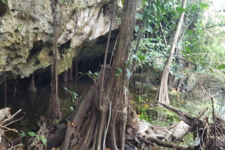 Ecoaldea holística Cancun