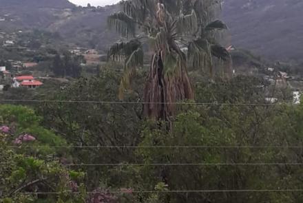 Territorio