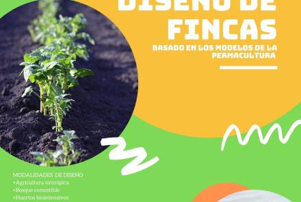 Diseño de fincas