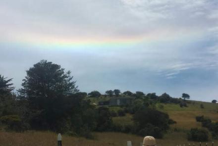 Busco un territorio en el cual enraizar
