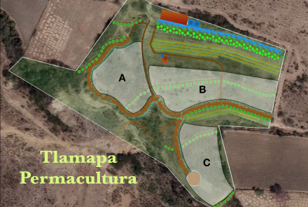 Territorio