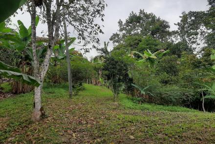 Ecovilla en La Vega