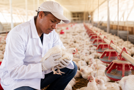 Asociación De Víctimas Emprendedoras De Pescado Medio - Asovemp