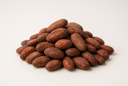 Asociación la Casa del Cacao