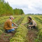 Agricultura Sostenible: Cultivando un Futuro Resiliente